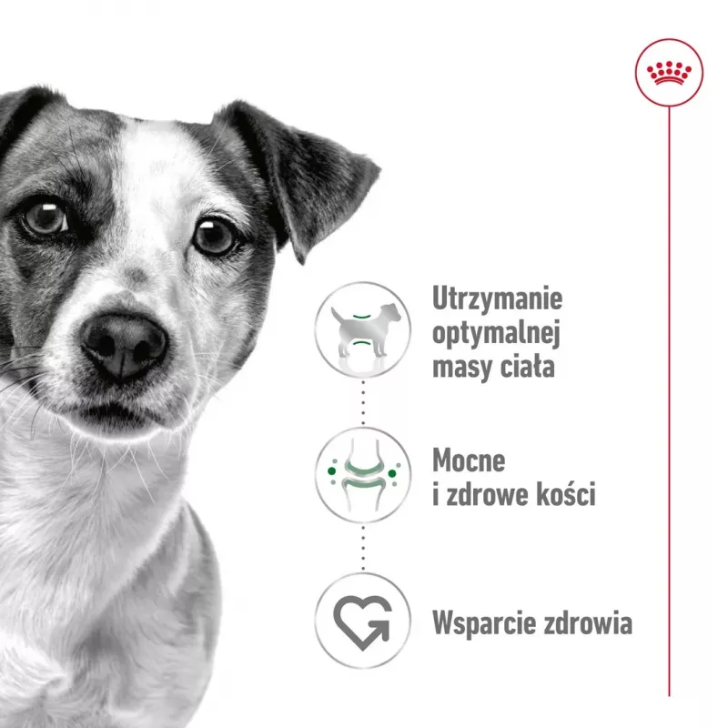 Šlapias šunų maistas Royal Canin Mini Adult paketėlis 85 g, paukštiena, mažoms veislėms 5–10 kg, 12 × 85 g pakuotė
