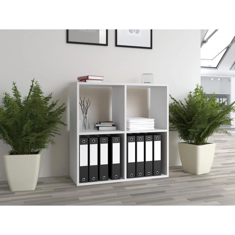Topeshop MALAX 2X2 BIEL svetainės knygų spinta