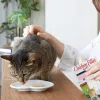 INABA kepta vištiena, itin minkšta filė šukutėmis aromatizuotame sultinyje – kačių skanėstai – 25 g