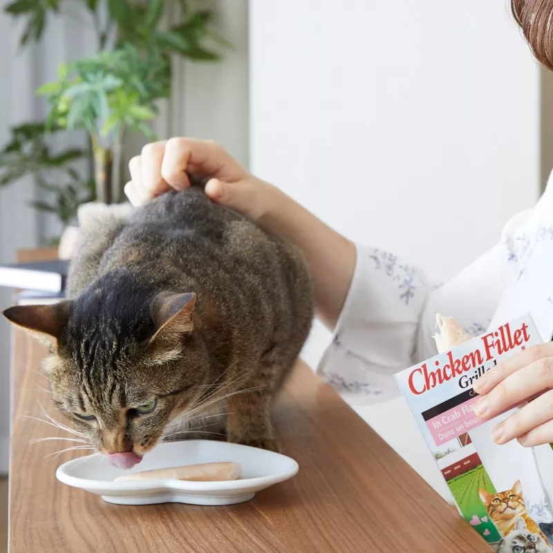 INABA kepta vištiena, itin minkšta filė šukutėmis aromatizuotame sultinyje – kačių skanėstai – 25 g