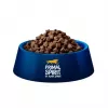 PRIMAL SPIRIT Iberian 70% kiaulienos kumpis – pusiau drėgnas šunų maistas – 1 kg