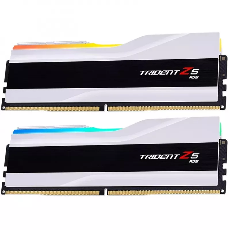 G.skill F5-8000J4048F24GX2-TZ5RW atminties modulis