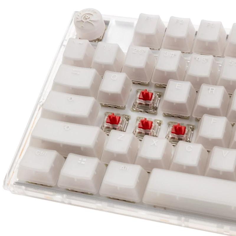 Ducky One 3 TKL klaviatūra, žaidimams, USB, QWERTY, anglų, balta