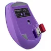 pelė DEFENDER MYSTERY MM-301 RF+BT PURPLE 1600dpi 6P