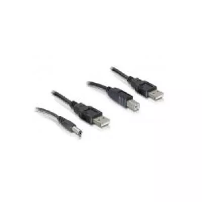 Kabelių rinkinys USB-A / DC + USB-B 0.3 m DeLOCK 82461