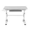 Ergo Office vaikiškas ergonominis reguliuojamo aukščio stalas, pilkas, maks. 100 kg, ER-417 2cz