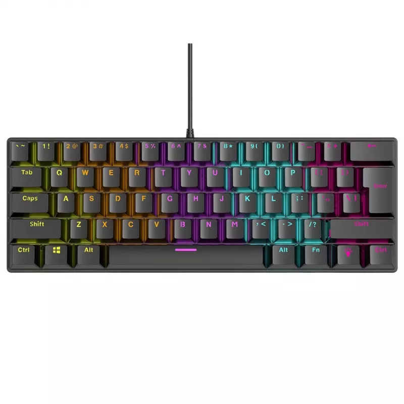 Mechaninė klaviatūra RAMPAGE PLOWER K60 su mėlynais jungikliais ir RGB apšvietimu