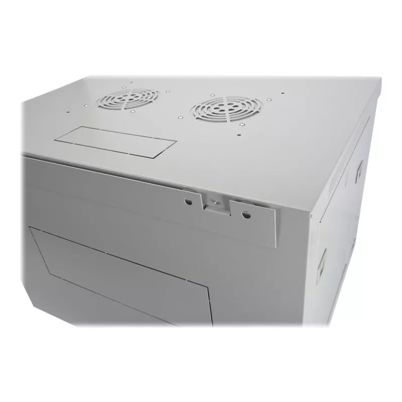 Digitus prie sienos montuojama spinta Dynamic Basic serija - 600x450 mm (P x G)