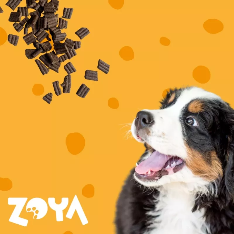 ZOYA ColdPRO ėriena - sausas šunų maistas - 1 kg