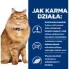 HILL'S PD K/D Kidney + Mobility Chicken - sausas kačių maistas - 3kg