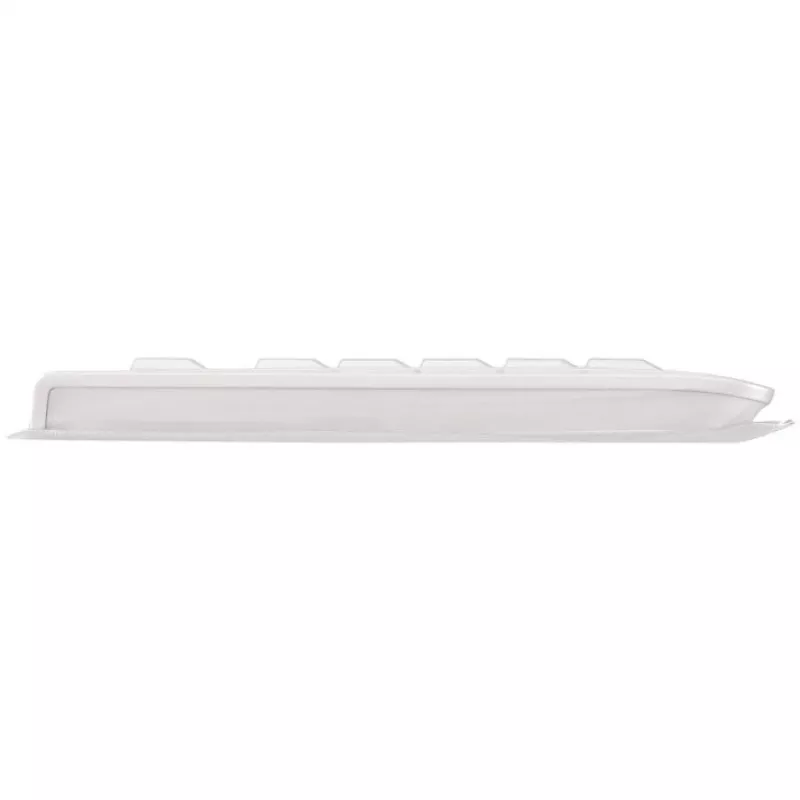 CHERRY KC 1068 klaviatūra USB Swiss Pilka