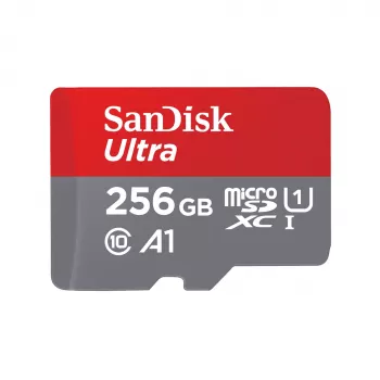 Flash atmintis SanDisk 256 GB MicroSDXC UHS-I SDSQUNR-256G-GN6TA