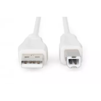 Assmann USB jungiamasis kabelis. tipas A - B M/M. 1,8 m. tinkamas USB 2.0. UL. smėlio spalvos (AK-300102-018-E)