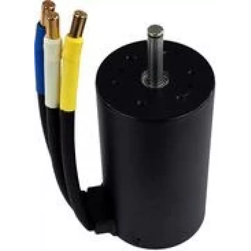 Amewi Brushless Motor MTX10 (012-HPGB3970A)