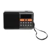 Nešiojamasis analoginis AM/FM Bluetooth radijas BLOW RA18 su FM imtuvu ir Bluetooth ryšiu