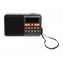 Nešiojamasis analoginis AM/FM Bluetooth radijas BLOW RA18 su FM imtuvu ir Bluetooth ryšiu