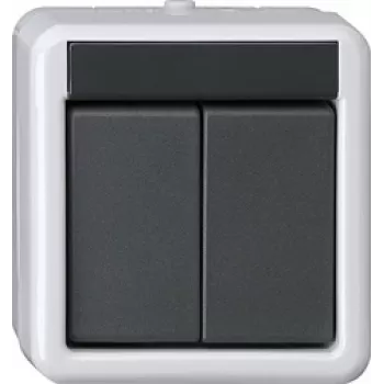 GIRA KNX mygtukas BA 2 kanalų Pilka AP 2Punkt 516230 (516230)