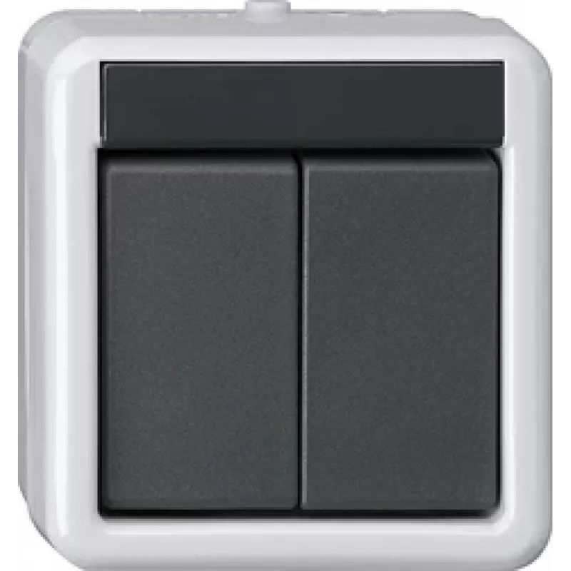 GIRA KNX mygtukas BA 2 kanalų Pilka AP 2Punkt 516230 (516230)