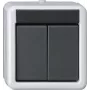 GIRA KNX mygtukas BA 2 kanalų Pilka AP 2Punkt 516230 (516230)