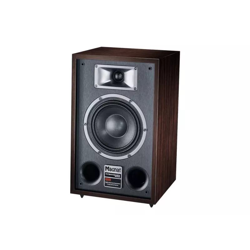 Ant grindų statoma kolonėlė Magnat TRANSPULS 800A, 2 krypčių, laidinė ir belaidė, 2×60 W, Bluetooth 5.0, HDMI, juoda/ruda