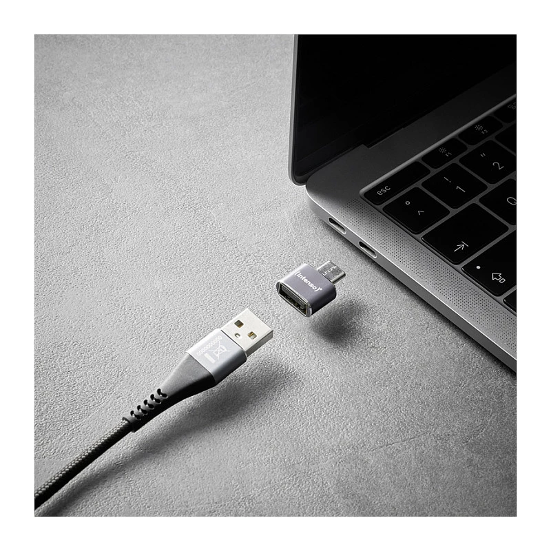 Intenso 3 vnt. USB adapteris USB-A -> USB-C C480C aliuminis