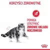 Šlapias kačių maistas Royal Canin Urinary Care suaugusiems paukštiena 85 g maišelis (12 pakuotė)