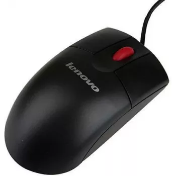 Pelė Lenovo Optical Wheel USB 01MP505
