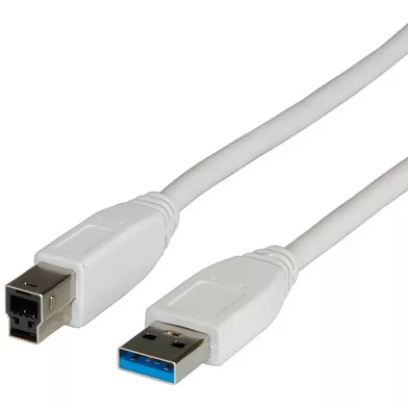 VALUE USB laidas - USB A tipo (vyriška) į USB B tipo (vyriška)