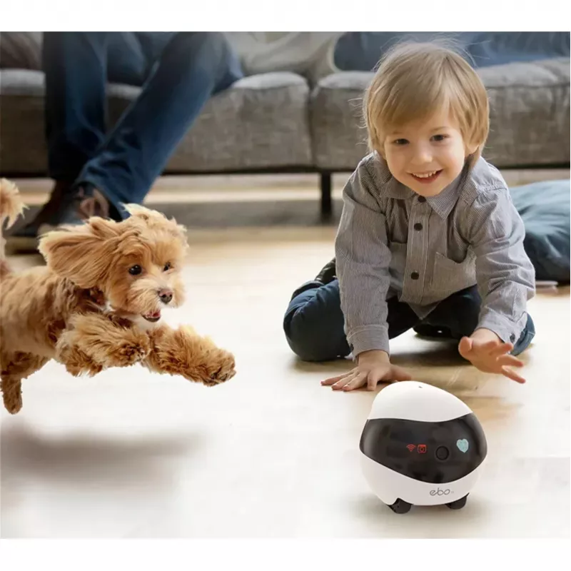 Enabot EBO SE Robot IP kamera, kompaktiška, N/A MP, N/A, 16GB išorinė atmintis, palaiko iki 256GB