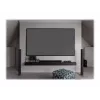 Elite Screens Aeon CineGrey 3D Series AR100DHD3 - ekranas - tinkamas tvirtinti prie sienos - 254 cm (100)