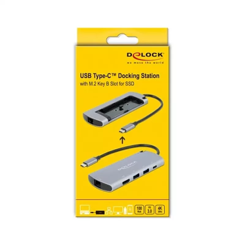 Dokų stotelė DeLOCK USB Type-C su M.2 lizdu