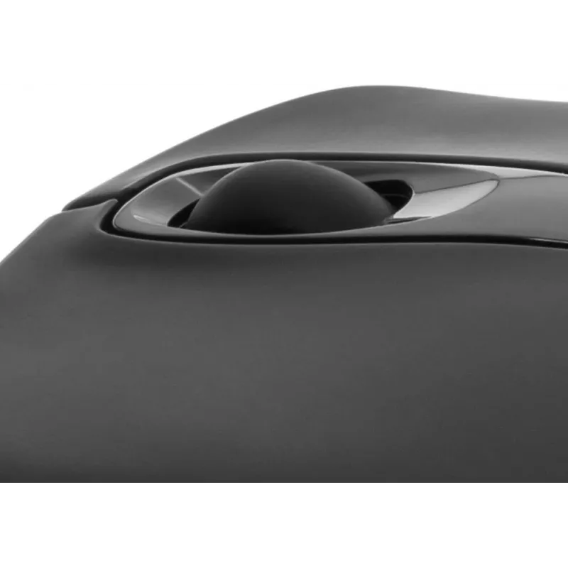 Pedea 60030013 juoda