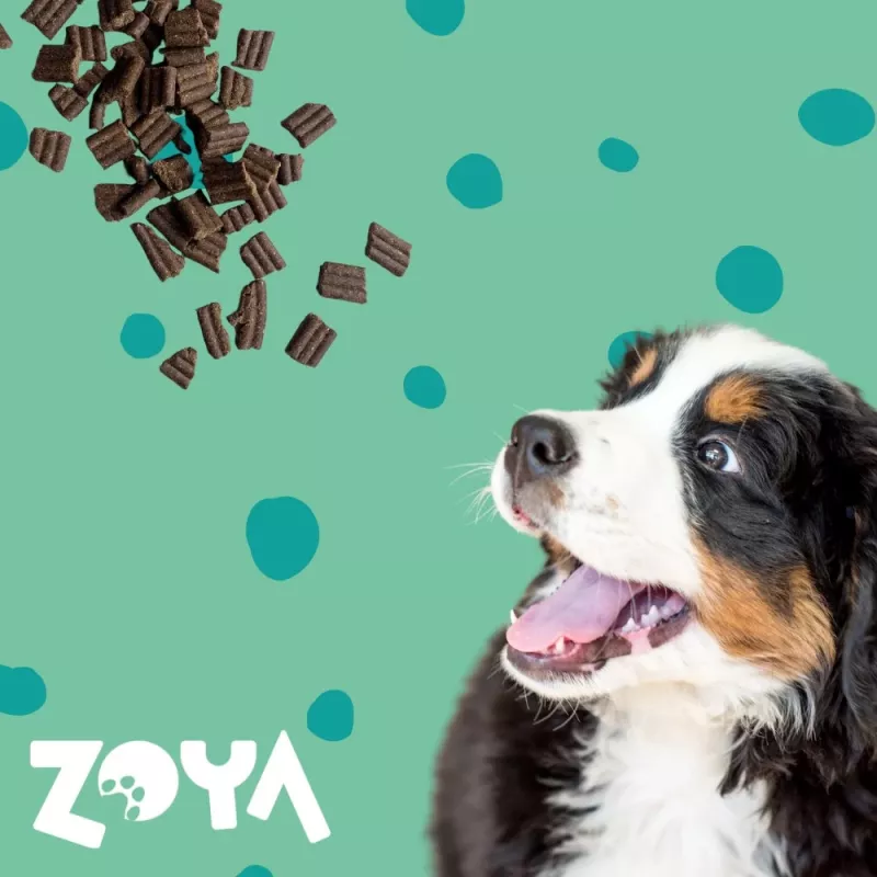 Sausas šunų maistas ZOYA ColdPRO Deer 9 kg — suaugusių šunų priežiūra, vieno baltymo elniena, 26 % baltymų, 9,5 % riebalų