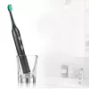 Dantų šepetėlis Media-Tech SONIC WAVECLEAN suaugusiems, rudas