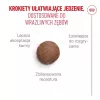 Sausas kačių maistas Royal Canin FHN Cat Ageing 15+ 2 kg — vyresnio amžiaus katėms nuo 15 metų, paukštienos skonio, 31 % baltymų