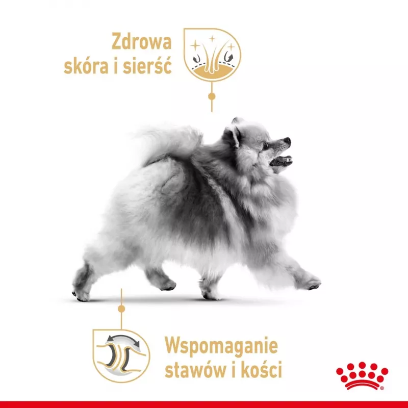 Sausas šunų maistas Royal Canin Pomeranian Adult 3 kg — mažų veislių formulė suaugusiems Pomeranijos špicams