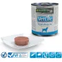 FARMINA Vet Life Canine Hypoallergenic Fish&Potato – drėgnas ėdalas suaugusiems šunims 300 g