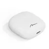 Ausinės Media-Tech MT3608W R-Phones TWS+ baltos