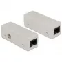 Delock 62620 tinklo įrenginys