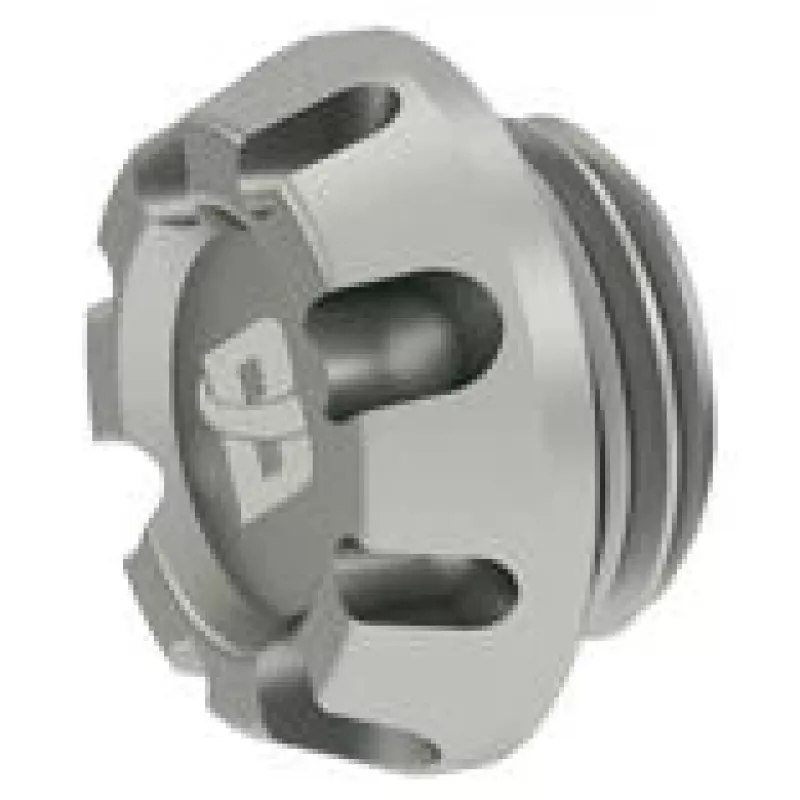 Barrow Kepler Plug G1/4 colio THODT-V1 - WS Sidabrinė — prievado kamštis, G1/4 colio sriegis, sidabrinė apdaila