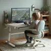 Ergo Office vaikiškas ergonominis reguliuojamo aukščio stalas, pilkas, maks. 100 kg, ER-417 2cz
