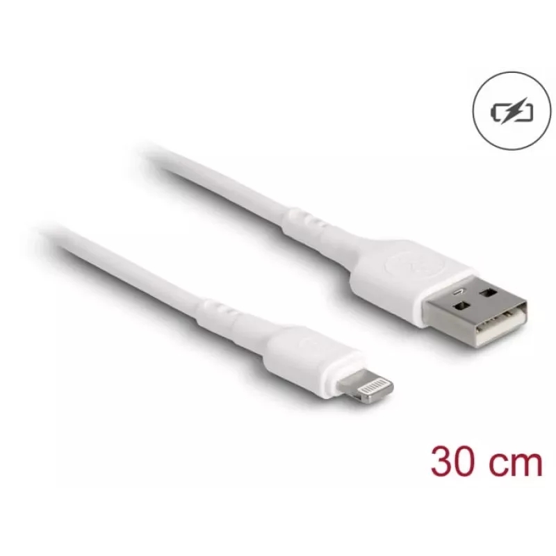USB laidas DeLOCK 87866 skirtas iPhone, iPad, iPod 30 cm