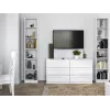 Vitrina top e shop W40 PAFOS BIA — balta medžio drožlių plokštė, 290×400×2000 mm