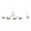 Delock USB adapteris - USB Type A (moteriškas) į 24 kontaktų USB-C (vyriškas)