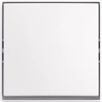 BUSCH JAEGER svirties jungiklis AP 2601/6 J-524 (2TKA00005521)