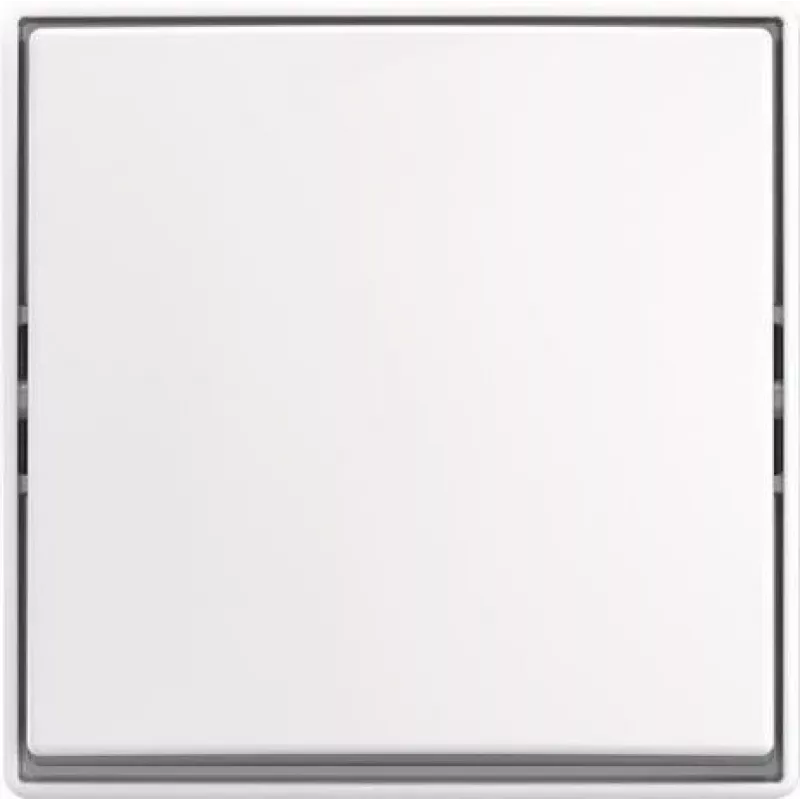 BUSCH JAEGER svirties jungiklis AP 2601/6 J-524 (2TKA00005521)