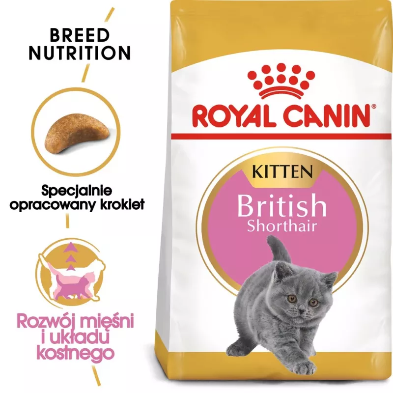 Sausas kačių maistas Royal Canin British Shorthair Kitten 2 kg – vištiena, 38% baltymų, 20% riebalų, augimo formulė