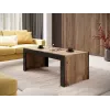 Kavos staliukas Cama Meble MILA 120x60x50 cm Wotan ąžuolo stalviršis, juodas rėmas