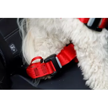 Šunų petnešos ZOLUX TRAVEL SAFE M, dydis M, raudonos