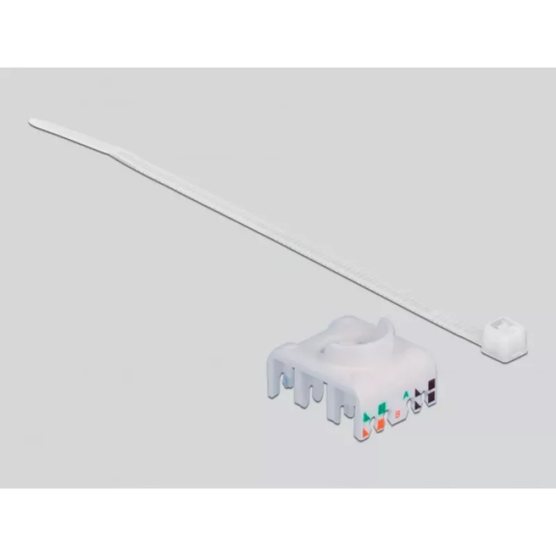 Delock - Modulinis adapteris - montuojamas ant DIN bėgelio - CAT 6a - STP - Pilkas - 1 jungtis (86014)